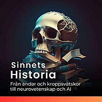 Sinnets Historia