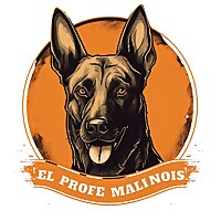 Más que Adiestramiento | Álvaro López
