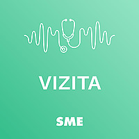 Vizita