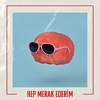 Hep Merak Ederim