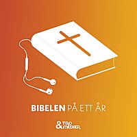 Bibelen på ett år