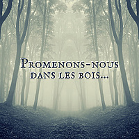 Promenons-nous dans les bois