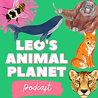 Leo's Animal Planet