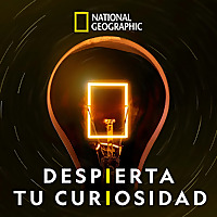 DESPIERTA TU CURIOSIDAD