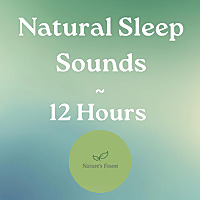 Nature‘s Finest Podcast: White Noise & Sleep Sounds for 12 Hours