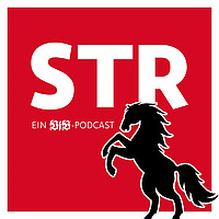VfB STR