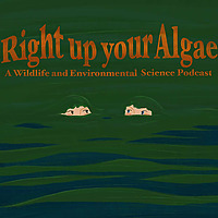 Right Up Your Algae