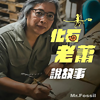 化石老蕭說故事
