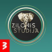Zilonis studijā