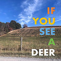 If You See a Deer