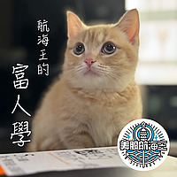 航海王的富人學