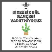 Dikensiz Gül Bahçesi Vadetmiyoruz