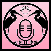 The Drive Pink Dialogue - an Inter Miami Podcast
