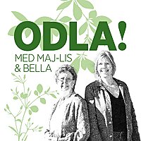 ODLA!