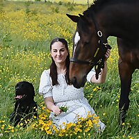 The Walking Equestrian