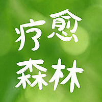 疗愈森林