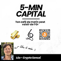 5-MIN CAPITAL : Stratégie minimaliste entre trading, épargne et investissements crypto monnaies (sans jargon / technique /