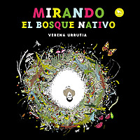 Mirando el bosque nativo