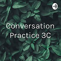 Conversation Practice 3°C