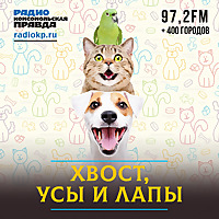 Хвост, усы и лапы