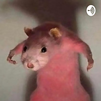 !Quarentena!