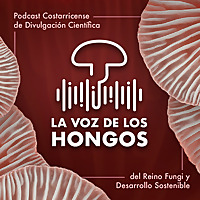 La Voz de los Hongos