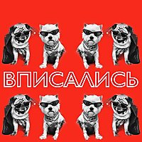 Вписались