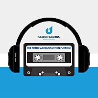 The Public Accountant on Purpose