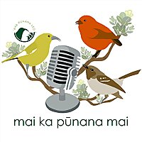 mai ka pūnana mai