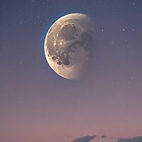 眠れぬ夜の怪奇譚