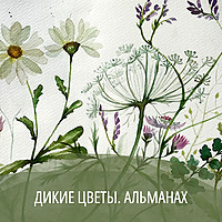 Дикие цветы.Альманах.