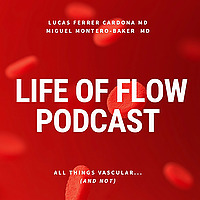 Life of Flow