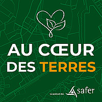 Au cœur des terres