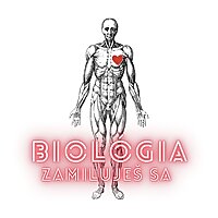 Biológia (Zamiluješ sa)