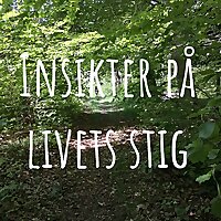 Insikter på livets stig