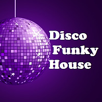 Disco Funky House  by lieb-art