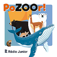 PoZOOR!