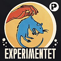 Experimentet