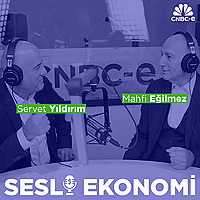 Sesli Ekonomi
