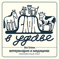Слон в удаве