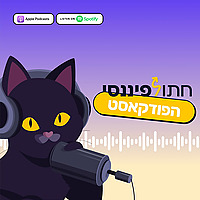 חתול פיננסי