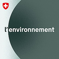 l'environnement