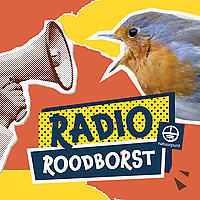 Radio Roodborst