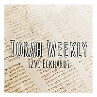Torah Weekly