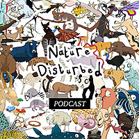Nature Disturbed