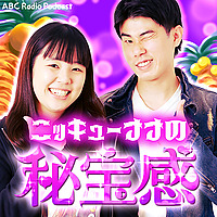 ニッキューナナの秘宝感