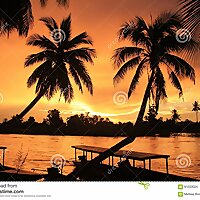 ========" ຖ້ອຍຄຳແຫ່ງຊີວິດ", "ຂ່າວດີ", "ຂ່າວປະເສີດເພງ" /