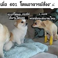 พลาสติกเป็นขยะ แต่รักเธอนะเป็นได้แค่เพื่อน