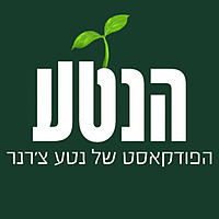 הנטע