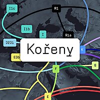 Kořeny